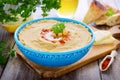 Lebanese cuisine - homemade hummus from chiÃÂk-pea Royalty Free Stock Photo